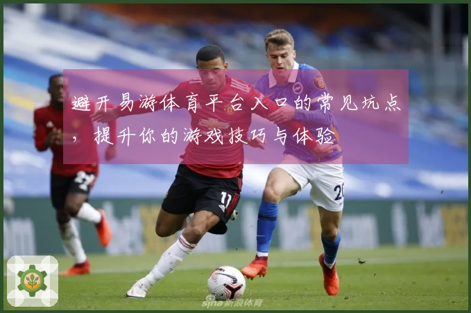 避开易游体育平台入口的常见坑点，提升你的游戏技巧与体验