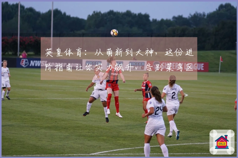 英皇体育：从萌新到大神，这份进阶指南让你实力飙升，告别菜鸟区！