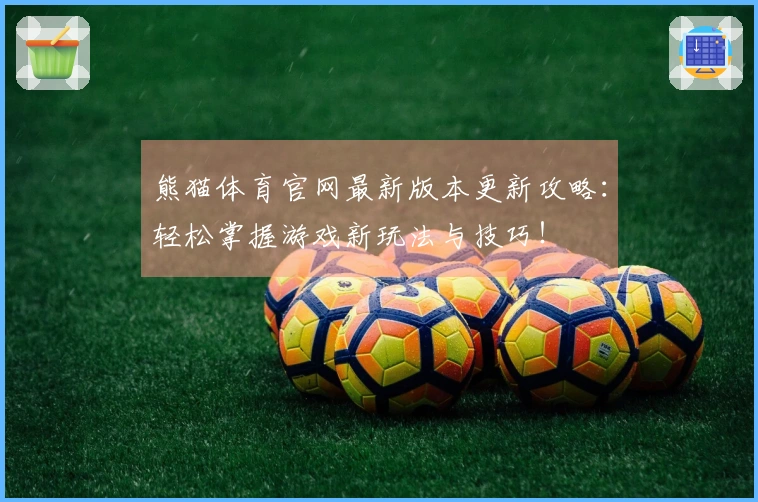 熊猫体育官网最新版本更新攻略：轻松掌握游戏新玩法与技巧！
