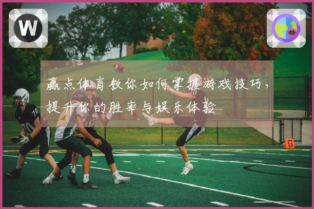 赢点体育教你如何掌握游戏技巧，提升你的胜率与娱乐体验